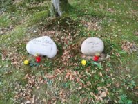 ein Bild aus dem Album